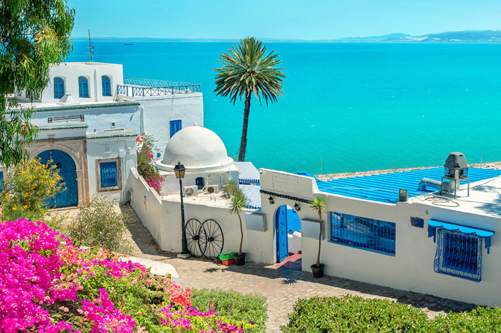 Explorez les Richesses Culturelles et Naturelles de la Tunisie : Un Voyage Inoubliable